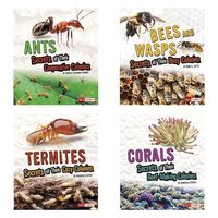 Produktbild: Amazing Animal Colonies