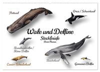 Produktbild: Wale und Delfine Steckbriefe (Wandkalender 2027 DIN A2 quer), CALVENDO Monatskalender