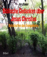 Produktbild: Botschaften des Evangeliums