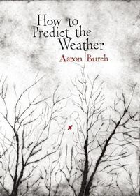 Produktbild: How to Predict the Weather