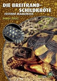Produktbild: Die Breitrandschildkr&ouml;te