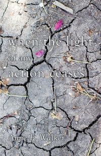 Produktbild: When the light of any action ceases
