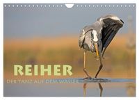 Produktbild: Reiher - Der Tanz auf dem Wasser (Wandkalender 2027 DIN A4 quer), CALVENDO Monatskalender
