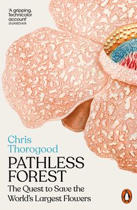 Produktbild: Pathless Forest