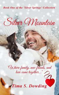 Produktbild: Silver Mountain (Silver Springs, #1)