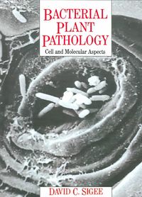 Produktbild: Bacterial Plant Pathology