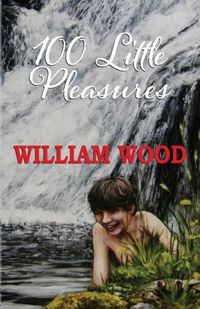 Produktbild: 100 Little Pleasures