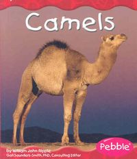 Produktbild: Camels
