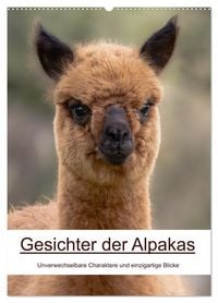 Produktbild: Gesichter der Alpakas - Unverwechselbare Charaktere und einzigartige Blicke (Wandkalender 2027 DIN A2 hoch), CALVENDO Monatskalender