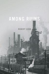 Produktbild: Among Ruins