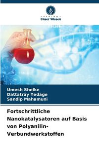 Produktbild: Fortschrittliche Nanokatalysatoren auf Basis von Polyanilin-Verbundwerkstoffen