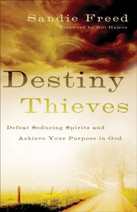 Produktbild: Destiny Thieves