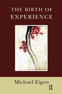 Produktbild: Eigen, M: The Birth of Experience