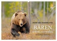 Produktbild: Magie des Augenblicks - B&auml;ren in nordischen W&auml;ldern (Wandkalender 2027 DIN A2 quer), CALVENDO Monatskalender