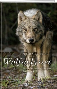 Produktbild: Wolfsodyssee
