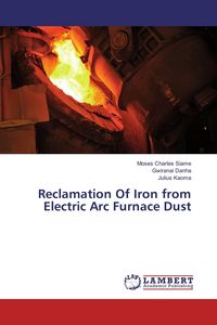 Produktbild: Reclamation Of Iron from Electric Arc Furnace Dust