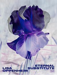 Produktbild: Lisa Oppenheim: The Eternal Substitute