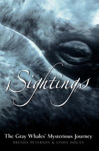 Produktbild: Sightings: The Gray Whales' Mysterious Journey