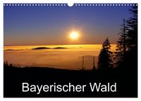 Produktbild: Bayerischer Wald (Wandkalender 2026 DIN A3 quer), CALVENDO Monatskalender