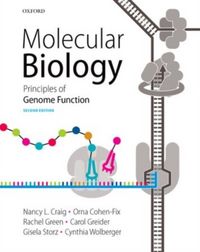 Produktbild: Craig, N: Molecular Biology
