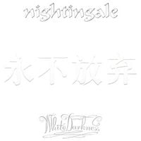 Produktbild: White Darkness (Re-issue,white LP)