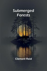 Produktbild: Submerged forests