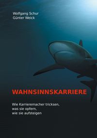 Bild vom Artikel Wahnsinnskarriere vom Autor Wolfgang Schur