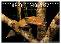 Produktbild: REPTILIEN (Tischkalender 2027 DIN A5 quer), CALVENDO Monatskalender