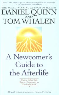 Produktbild: Newcomers Gt The Afterlife