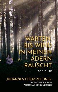 Produktbild: Warten, bis der Wind in meinen Adern rauscht