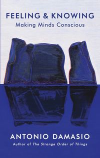 Produktbild: Feeling and Knowing