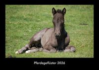 Produktbild: Pferdegefl&uuml;ster 2026 Fotokalender DIN A3