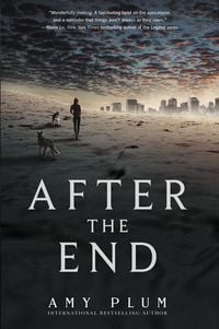 Produktbild: After the End