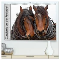 Produktbild: Zugpferde bei der Feldarbeit (hochwertiger Premium Wandkalender 2027 DIN A2 quer), Kunstdruck in Hochglanz