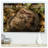 Produktbild: blick kontakt mit tieren im &ouml;stlichen und s&uuml;dlichen afrika (hochwertiger Premium Wandkalender 2026 DIN A2 quer), Kunstdruck in Hochglanz