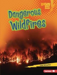 Produktbild: Dangerous Wildfires
