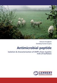 Produktbild: Antimicrobial peptide
