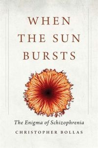 Produktbild: When the Sun Bursts - The Enigma of Schizophrenia