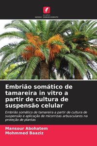 Produktbild: Embri&atilde;o som&aacute;tico de tamareira in vitro a partir de cultura de suspens&atilde;o celular