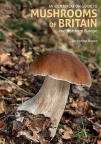 Produktbild: An Identification Guide to Mushrooms of Britain and Northern Europe (2nd edition)