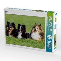 Produktbild: CALVENDO Puzzle Sheltie | 1000 Teile Lege-Gr&ouml;&szlig;e 64x48cm Foto-Puzzle f&uuml;r gl&uuml;ckliche Stunden