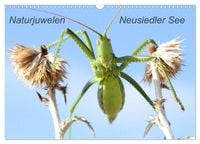 Produktbild: Naturjuwelen - Neusiedler See (Wandkalender 2027 DIN A3 quer), CALVENDO Monatskalender