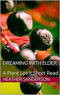 Produktbild: Dreaming with Elder