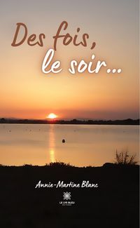 Produktbild: Des fois, le soir...