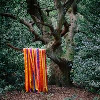 Produktbild: The Animal Spirits