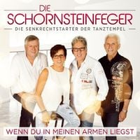 Produktbild: Wenn du in meinen Armen liegst