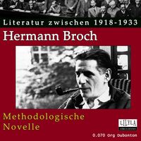 Produktbild: Methodologische Novelle