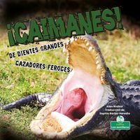 Produktbild: &iexcl;Caimanes! de Dientes Grandes. Cazadores Feroces (Alligators! Big Teeth, Fierce Hunters)