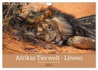Produktbild: Afrikas Tierwelt - L&ouml;wen (Wandkalender 2027 DIN A4 quer), CALVENDO Monatskalender