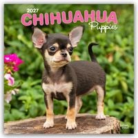 Produktbild: Chihuahua Puppies &ndash; Chihuahua Welpen 2027 &ndash; 16-Monatskalender
